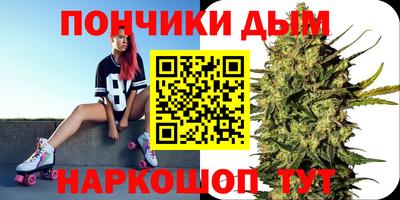 индика Краснознаменск